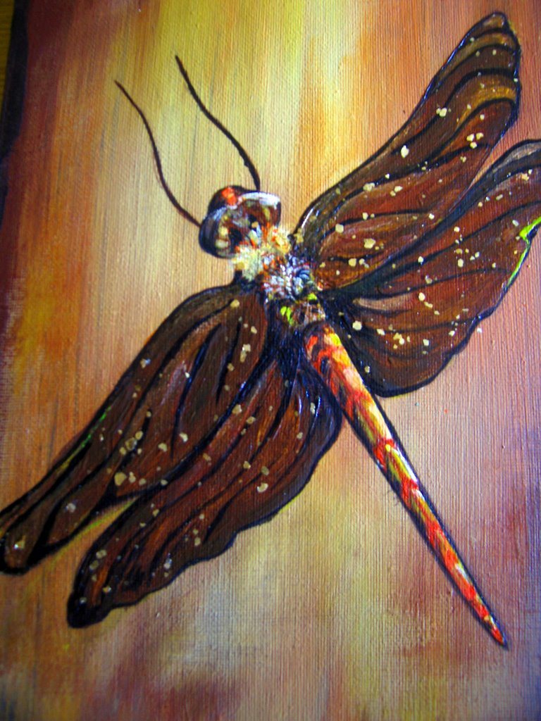 dragonfly canvas